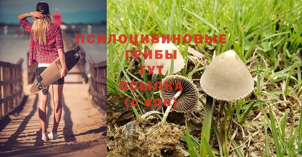 первитин Тутаев
