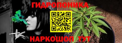 крисы Краснокаменск