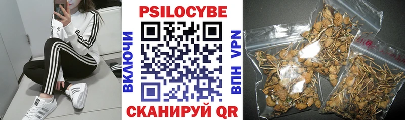 Псилоцибиновые грибы Psilocybine cubensis  купить   Медногорск 