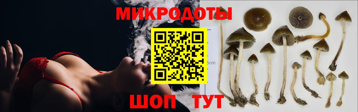 Галлюциногенные грибы мицелий  Вход с VPN  Псилоцибиновые грибы прущие грибы  Медногорск 