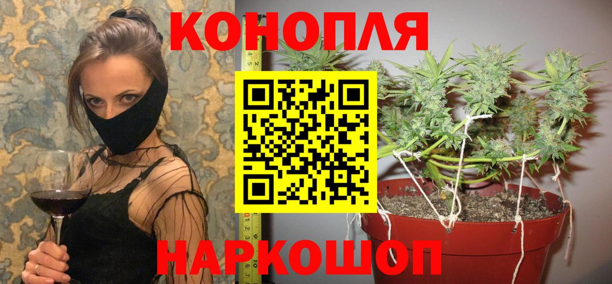 Бошки Шишки план  Канабис VHQ  Медногорск  Вход с VPN  МАРИХУАНА VHQ 